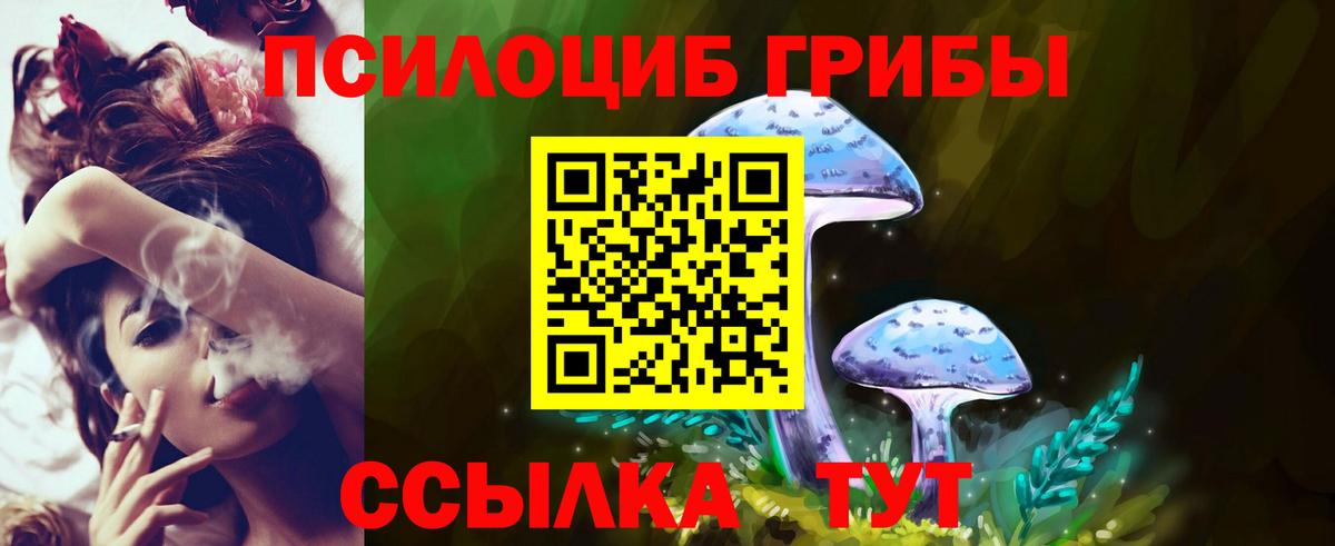 Галлюциногенные грибы GOLDEN TEACHER Воскресенск